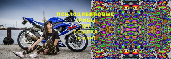 стафф Волосово