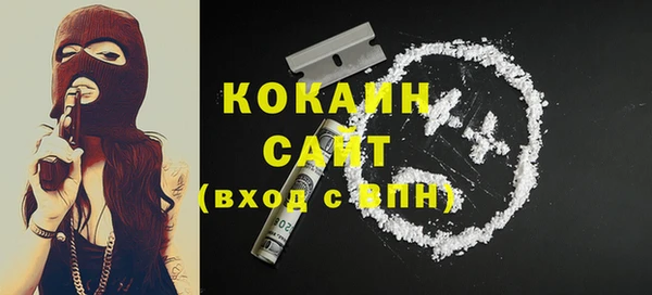 индика Верхний Тагил