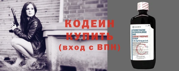 индика Верхний Тагил
