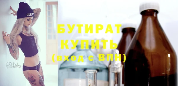 индика Володарск