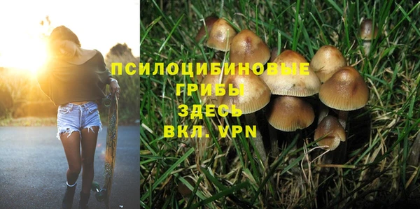 индика Володарск