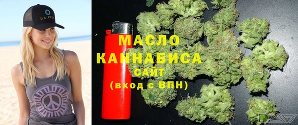 индика Володарск