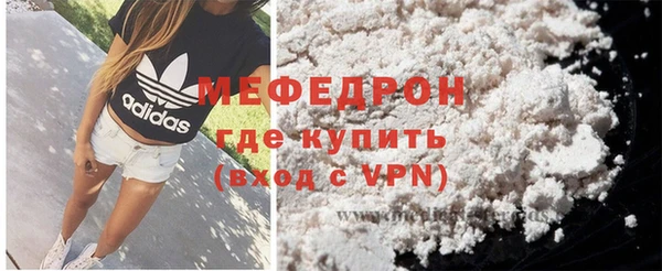 индика Володарск