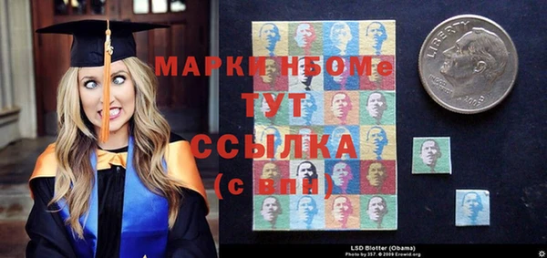 индика Володарск