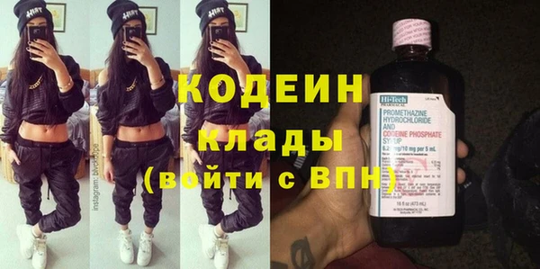 индика Володарск