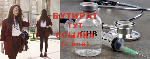 индика Володарск